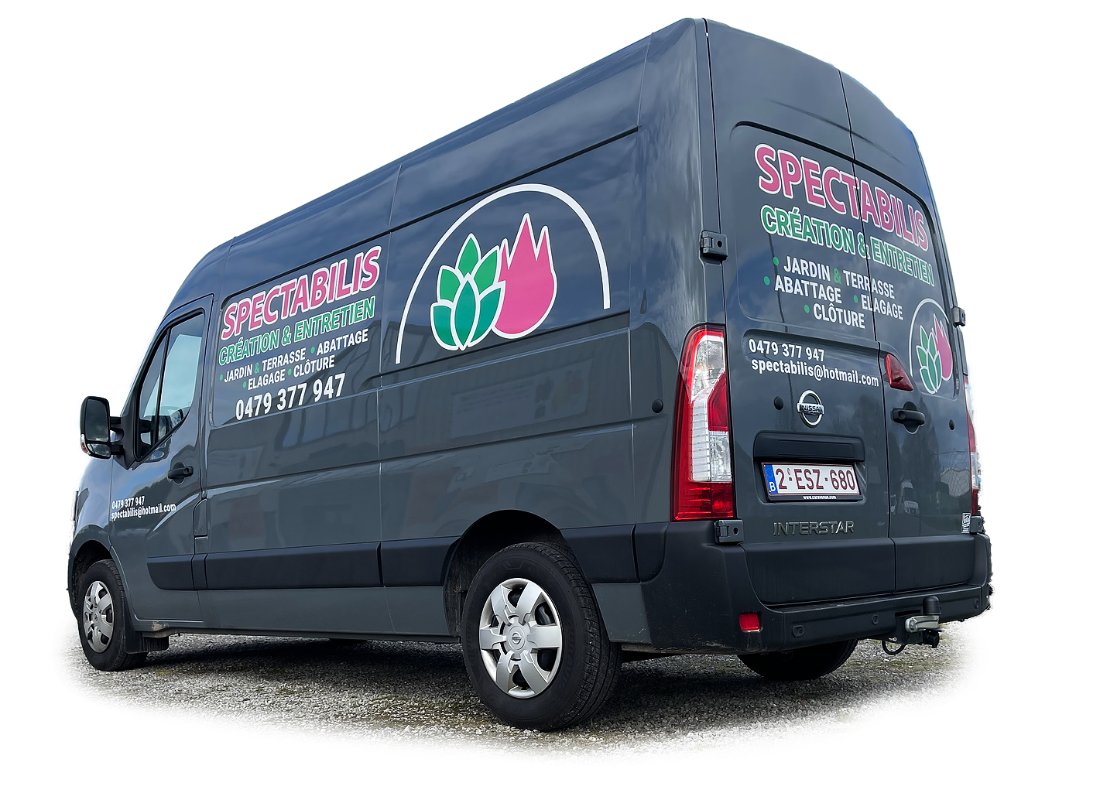 Spectabilis