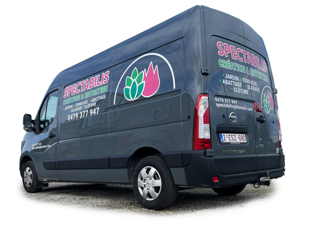 Spectabilis na belettering